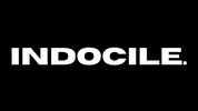 INDOCILE - Accueil